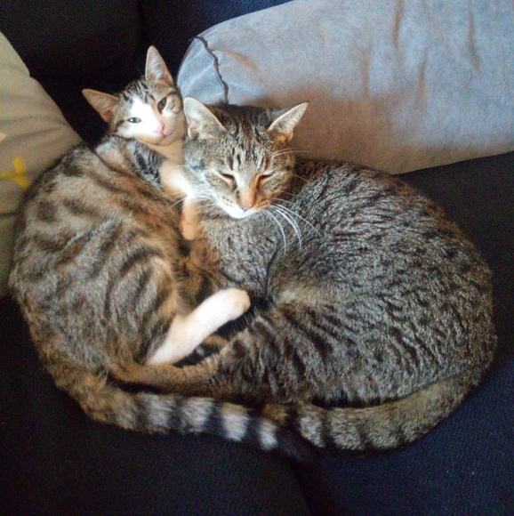 Meet the Posher, Jennifer - Picture 3 of 6